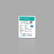 Blue Sapphire 11.08x7.72x6.12mm Faceted Oval AA Loose Gemstone - SA04E-183675