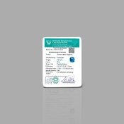 Blue Sapphire 9.93x9.39x7.22mm Faceted Square Cushion AA Loose Gemstone - SA04F-183663