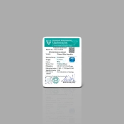 Blue Sapphire 12.21x9.72x6.21mm Faceted Cushion A+ Loose Gemstone - SA04D-183685