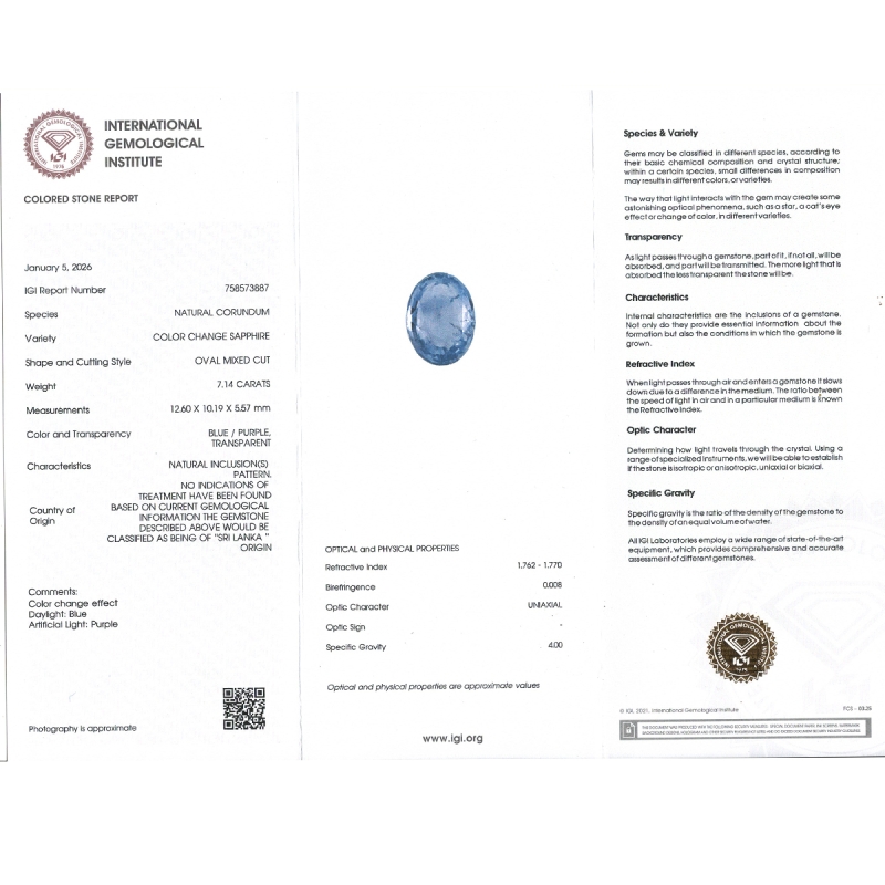 Blue Sapphire 12.60x10.19x5.57mm Faceted Oval AA Loose Gemstone - SA04B-183668