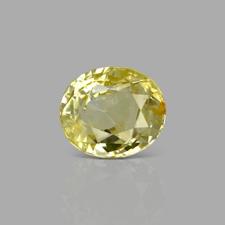 Yellow Sapphire 10.26x8.87x6.69mm Faceted Oval AA Loose Gemstone - SH04B-183666