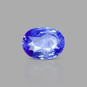 Blue Sapphire 11.21X8.39X5.59mm Faceted Oval AA Loose Gemstone - SA04A-183698
