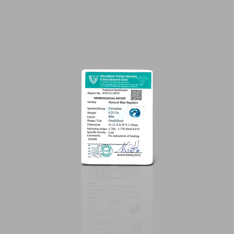 Blue Sapphire 11.21X8.39X5.59mm Faceted Oval AA Loose Gemstone - SA04A-183698