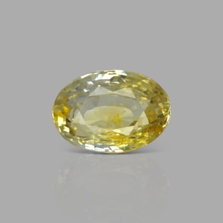 Yellow Sapphire 11.25x8.02x6.42mm Faceted Oval AA+ Loose Gemstone - SH04A-183696