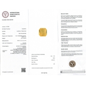 Yellow Sapphire 9.49x9.12x6.16mm Step Cut Octagon AA Loose Gemstone - SH04A-183697