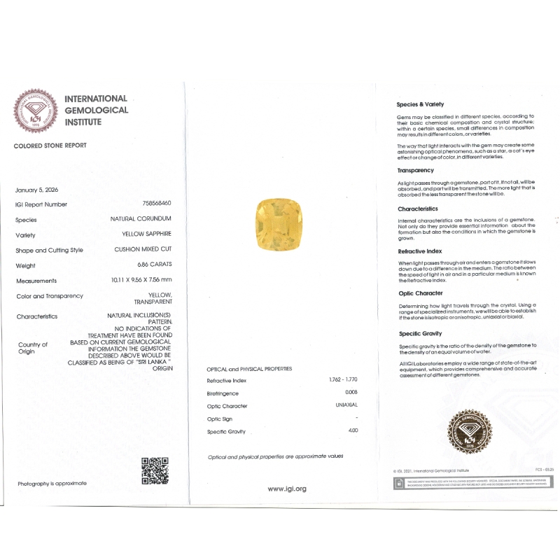 Yellow Sapphire 10.11x9.56x7.56mm Faceted Cushion AA+ Loose Gemstone - SA07D-183809