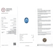 Blue Sapphire 12.51x9.59x6.77mm Faceted Oval AA+ Loose Gemstone - SA07E-183779