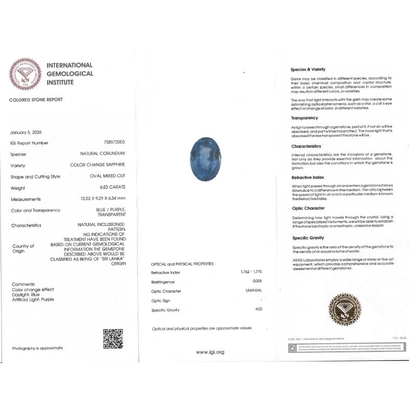 Blue Sapphire 12.23x9.26x6.34mm Faceted Oval AA Loose Gemstone - SA07E-183786