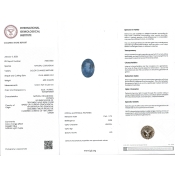 Blue Sapphire 12.23x9.26x6.34mm Faceted Oval AA Loose Gemstone - SA07E-183786