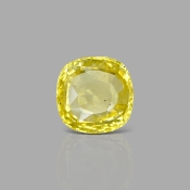Yellow Sapphire 12.71x12.66x5.71mm Faceted Square Cushion AA Loose Gemstone - SA008-183820