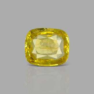 Yellow Sapphire 12.43x10.67x5.27mm Faceted Cushion AA Loose Gemstone - SA009-183826