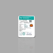 Hessonite Garnet 13.55x10.92x4.93mm Faceted Oval AA Loose Gemstone - 184058