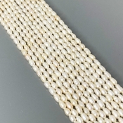 Pearl 2.5mm Smooth Rice AA+ Beads Strand - 184100