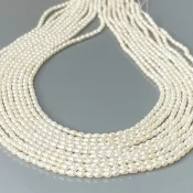 Pearl 2mm Smooth Rice AA+ Beads Strand - 184099