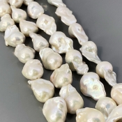 Pearl 20-28mm Smooth Fancy AA+ Beads Strand - 184118