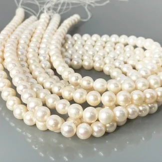 Pearl 8mm Smooth Round AA+ Beads Strand - 184111