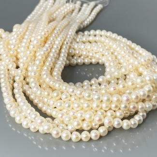 Pearl 5mm Smooth Round AA+ Beads Strand - 184098