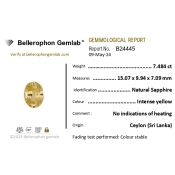 Yellow Sapphire 13.07x9.94x7.09mm Faceted Oval AAA+ Loose Gemstone - LH-184131