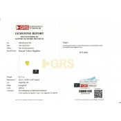 Yellow Sapphire 10.51X9.99X8.07mm Step Cut Octagon AA Loose Gemstone - LH-184128