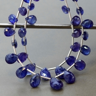 Blue Sapphire 7.5-12.5mm Briolette Pear Shape AA+ Grade Multi Strand Beads Layout - Total 2 Strands of 6-7 Inch.