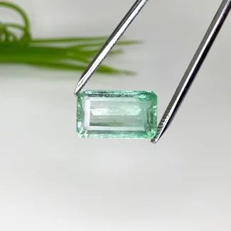  7.25 Cts. Emerald 14x8.5mm Step Cut Octagon Shape A+ Grade Loose Gemstone - Total 1 Pc.